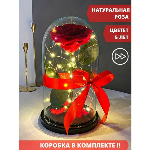 Роза в колбе с подсветкой