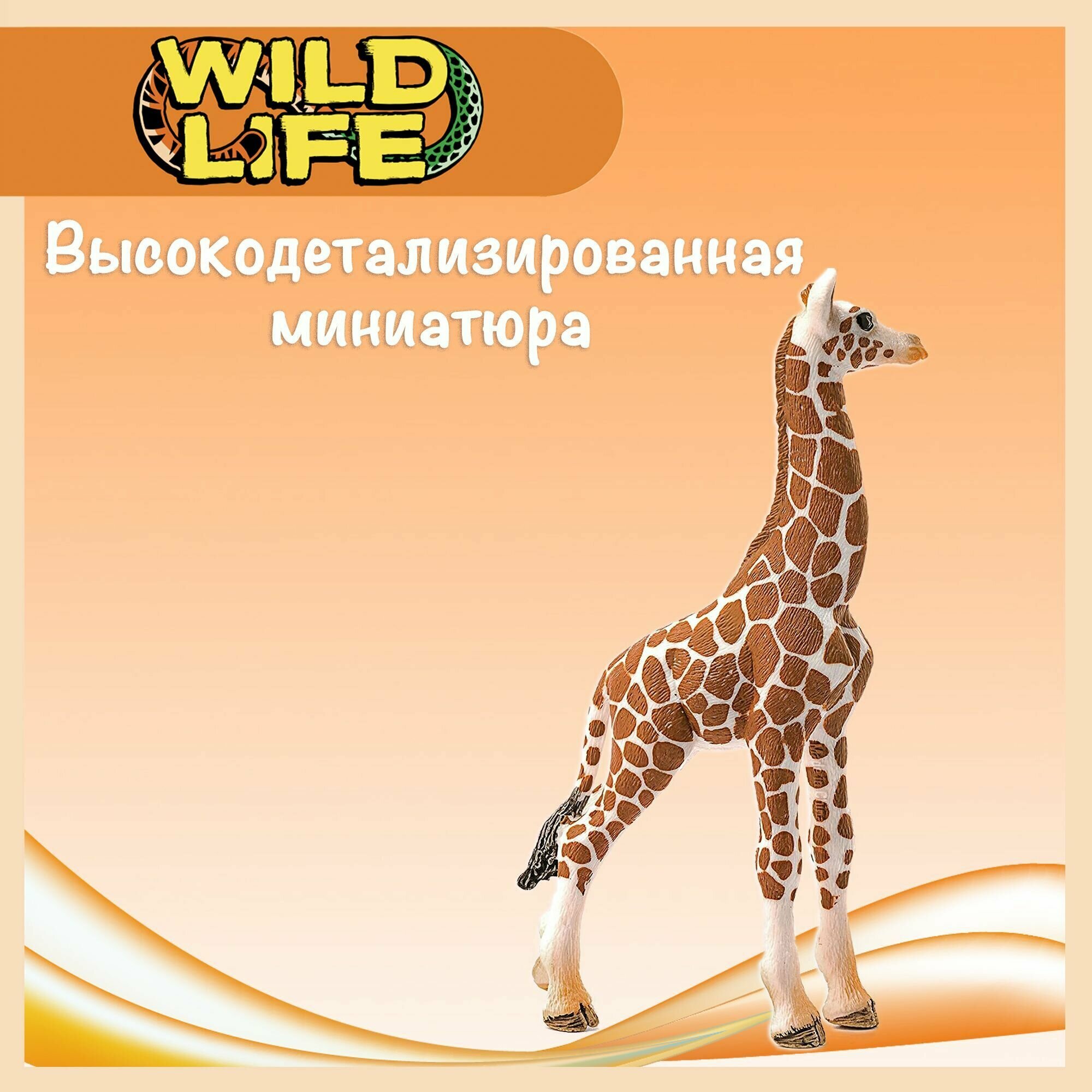 Фигурка "Детеныш жирафа" Schleich Wild Life/ для детей от 3 лет/ Шляйх 14751