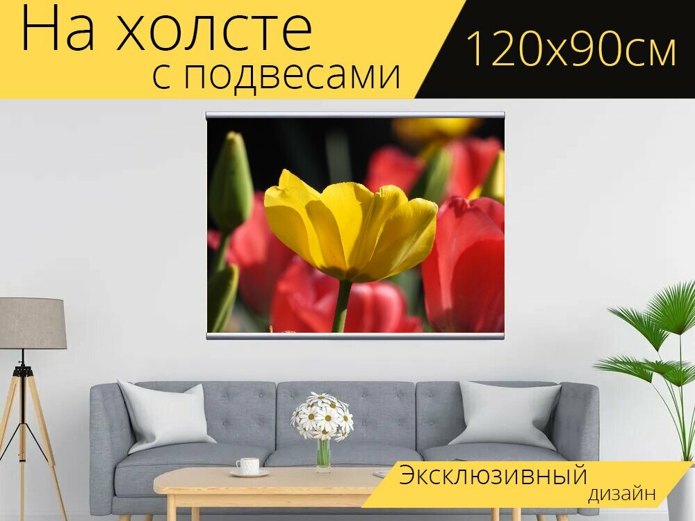 Картина на холсте "Тюльпаны, красочные, цветы" с подвесами 120х90 см. для интерьера