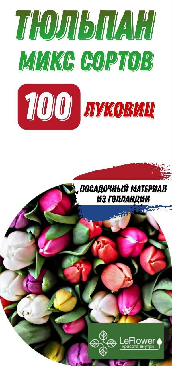 Тюльпан Луковица Микс сортов 100шт (LeFlower)