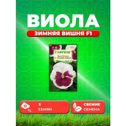 Виола Зимняя вишня F1, Виттрока (Анютины глазки) 5 шт.