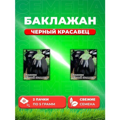 Баклажан Черный красавец 5,0 г (2уп)