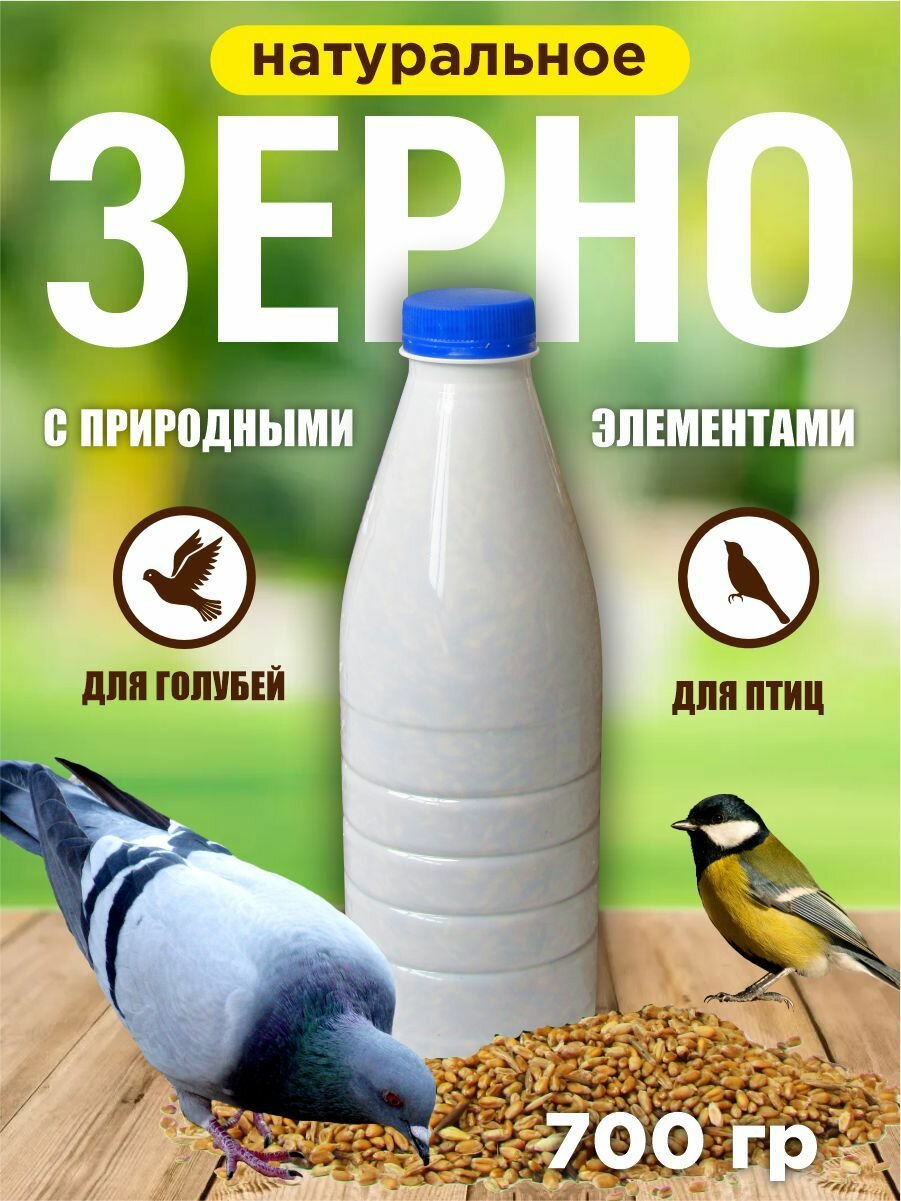 Корм для уличных и лесных птиц и грызунов