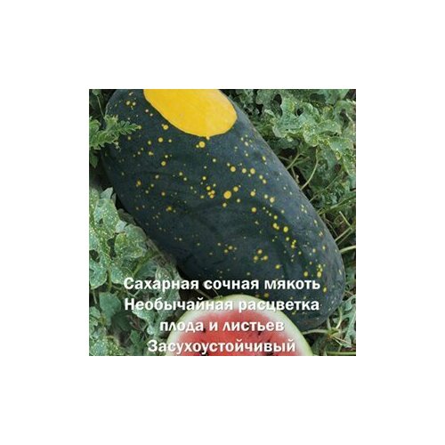 Семена Арбуз Звезда 213₽