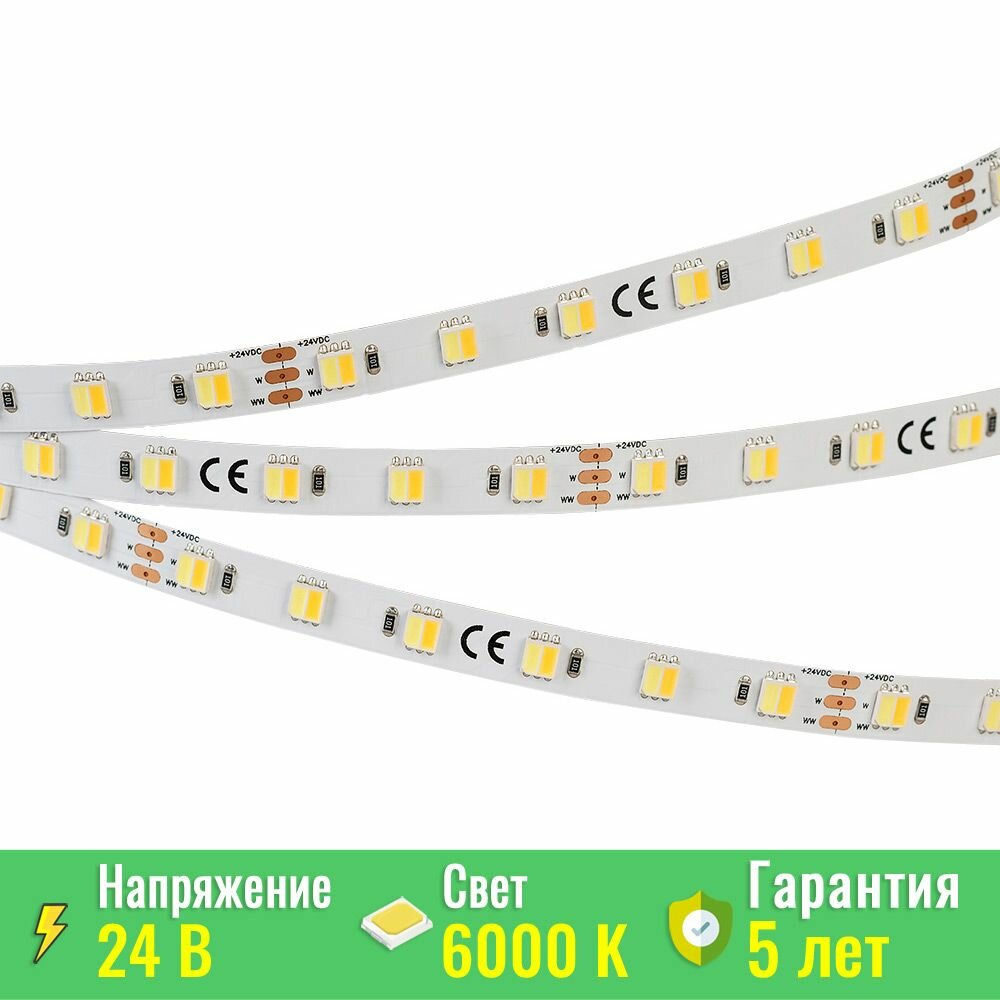 RT 6-5000 White-MIX-One 2x 025214 Светодиодная лента 24В (5060, IP33, 60 LED/m, LUX, 5 м) Arlight - фото №1