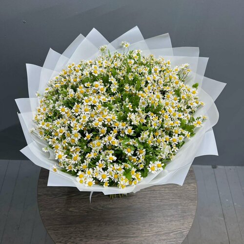 Изображение товара Букет из Ромашек / цветы ромашки кустовые / доставка цветов Москва