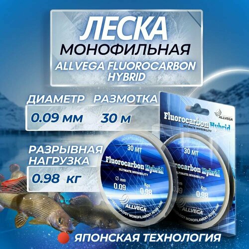 Флюорокарбоновая леска ALLVEGA Fluorocarbon Hybrid, 30 м, 1 кг, прозрачный, 1 шт.