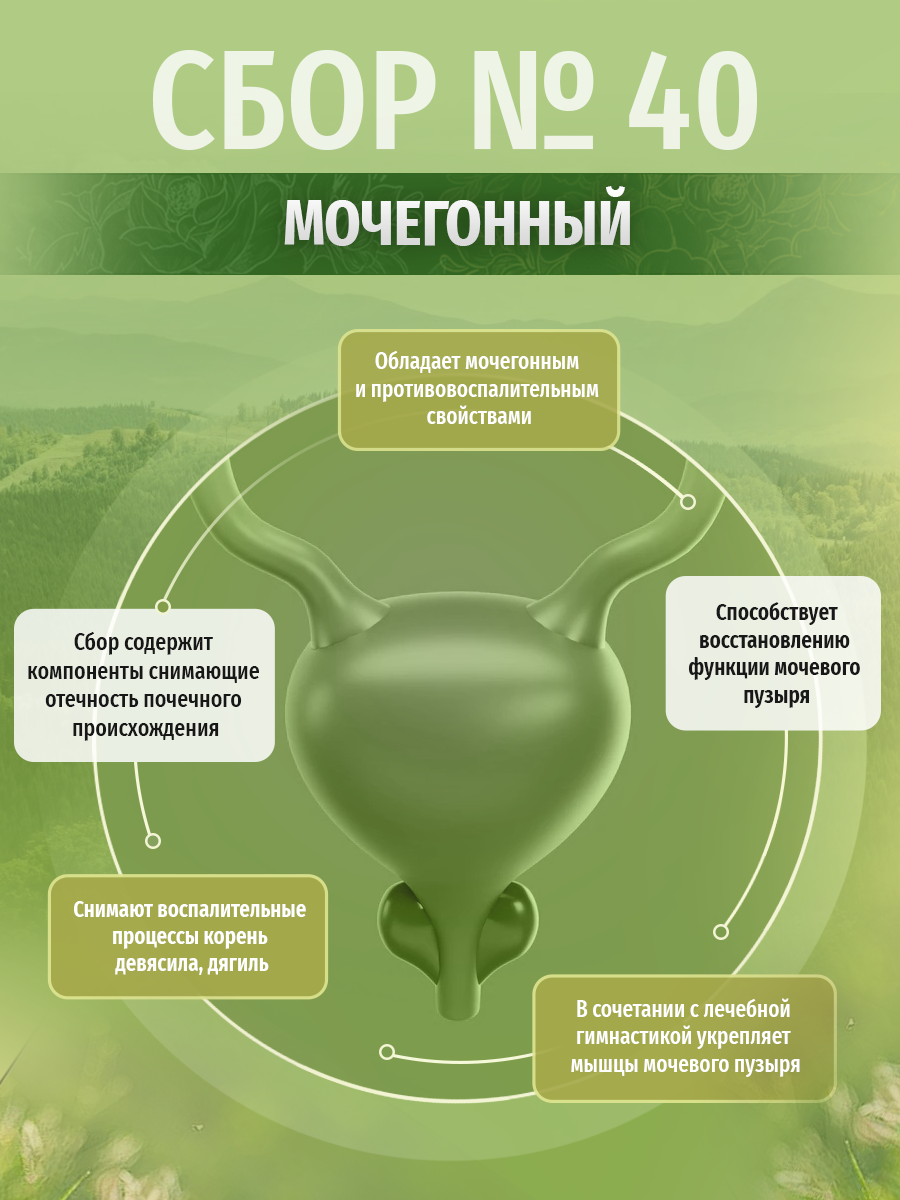 Картинки Травы Кавказа травяной бор № 40 Мочегонный, при отечности любого происхождения