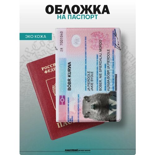 Обложка для паспорта KACO 371₽