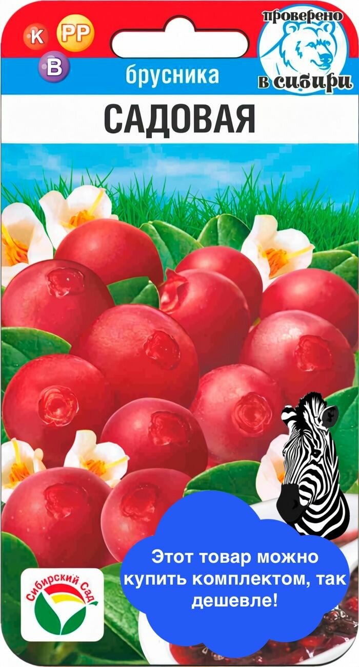 Брусника Садовая