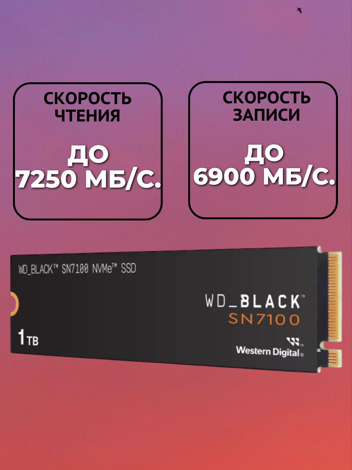 Твердотельный накопитель SSD WD Western Digital SN7100 1 тб, чёрный WDS100T4X0E — фото 1