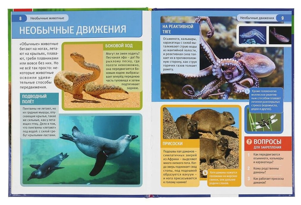 "УМКА". НЕОБЫЧНЫЕ ЖИВОТНЫЕ (ЭНЦИКЛОПЕДИЯ А4). ТВЕРДЫЙ ПЕРЕПЛЕТ. БУМАГА МЕЛОВАННАЯ 130Г в кор.15шт - фото №4