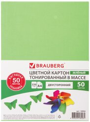 Цветной картон тонированный в массе BRAUBERG, A4, 50 л. 1 наборов в уп.