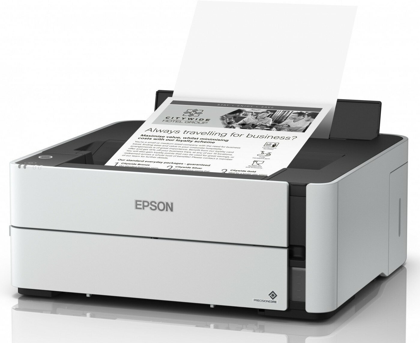 Принтер Epson - фото №10