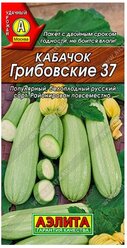 Кабачок белоплодный Грибовские 37