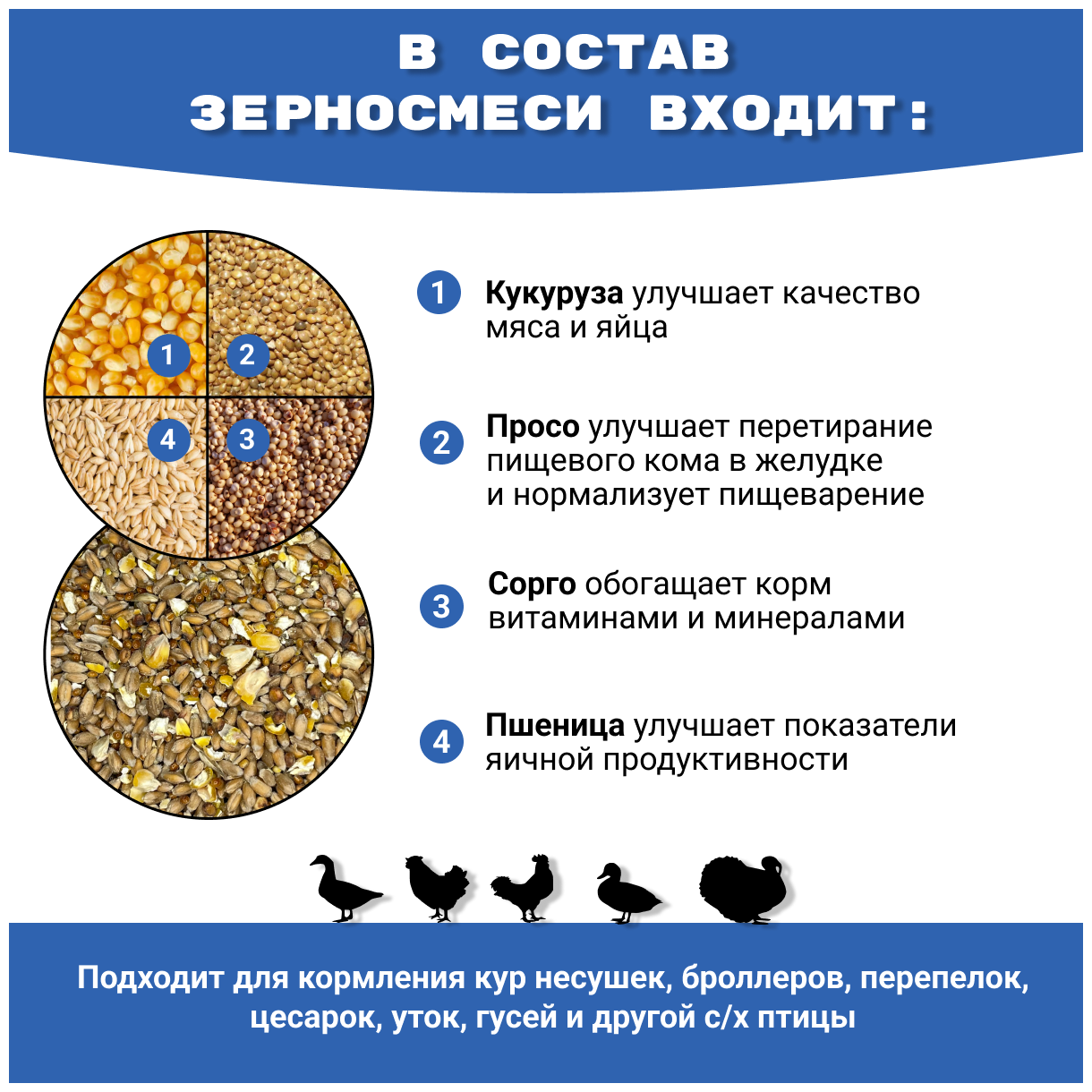 Зерносмесь, универсальная 5 кг. сбалансированная добавка для кормления с/х птицы