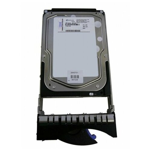 Внутренний жесткий диск IBM 43W7487 (43W7487) внутренний жесткий диск ibm 43w7487 43w7487