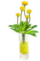Искусственные цветы Маргаритки в стеклянной вазе от Gerard de ros