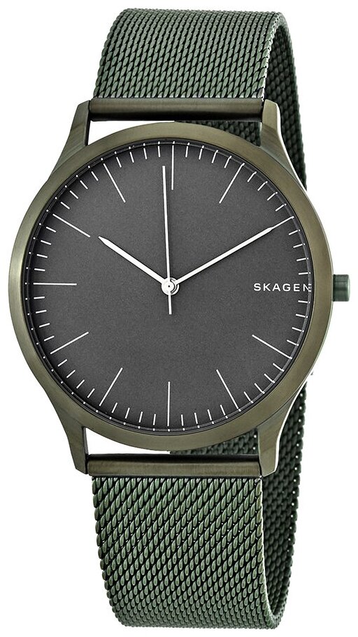 Наручные часы SKAGEN