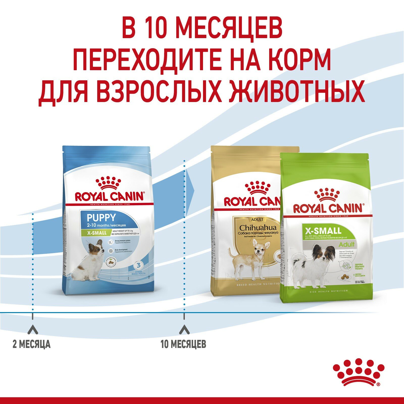 Корм Royal Canin - фото №10