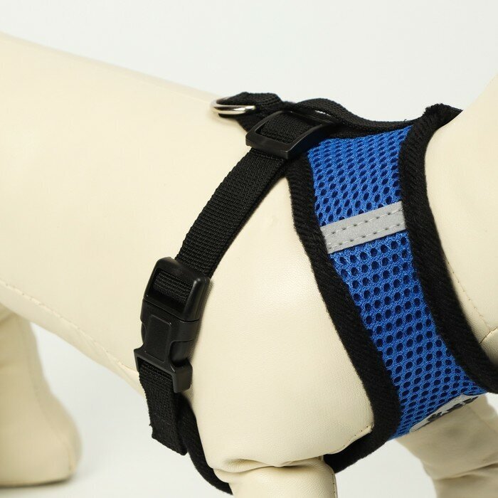 Изображение Комплект амуниции с мягкой шлейкой и светоотражающей нашивкой, M, ОШ 26, ОГ 36-44, синий