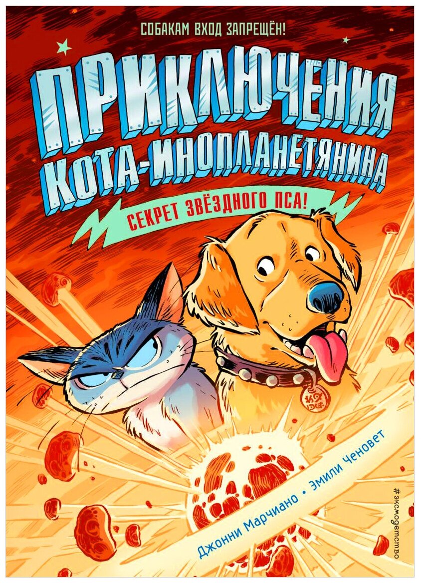 Секрет звёздного пса (выпуск 3) - фото №1