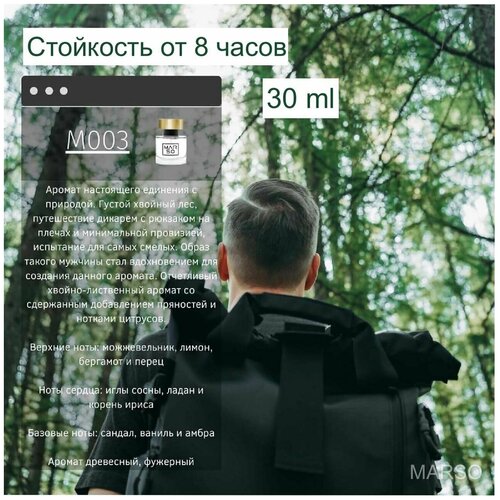 Marso / духи, парфюмерная вода мужская, парфюм, парфюмерия для мужчин 30 ml, аромат древесный, фужерный