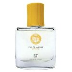 FIILIT PARFUM DU VOYAGE ATLAS MAZHAR (EDP 50 ML) - изображение