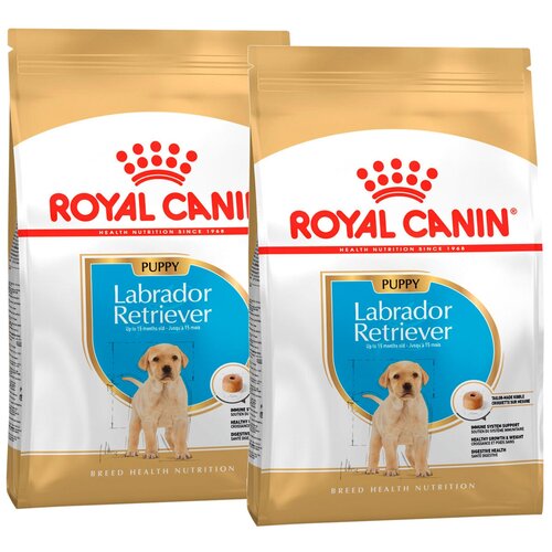 ROYAL CANIN LABRADOR RETRIEVER PUPPY для щенков лабрадор ретривер (12 + 12 кг) корм для собак royal canin labrador retriever puppy лабрадор ретривер паппи сухой для