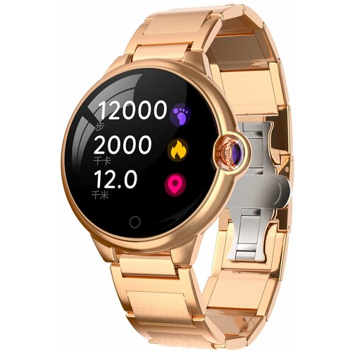 BandRate Smart BRSDR88GGWB 637500₽