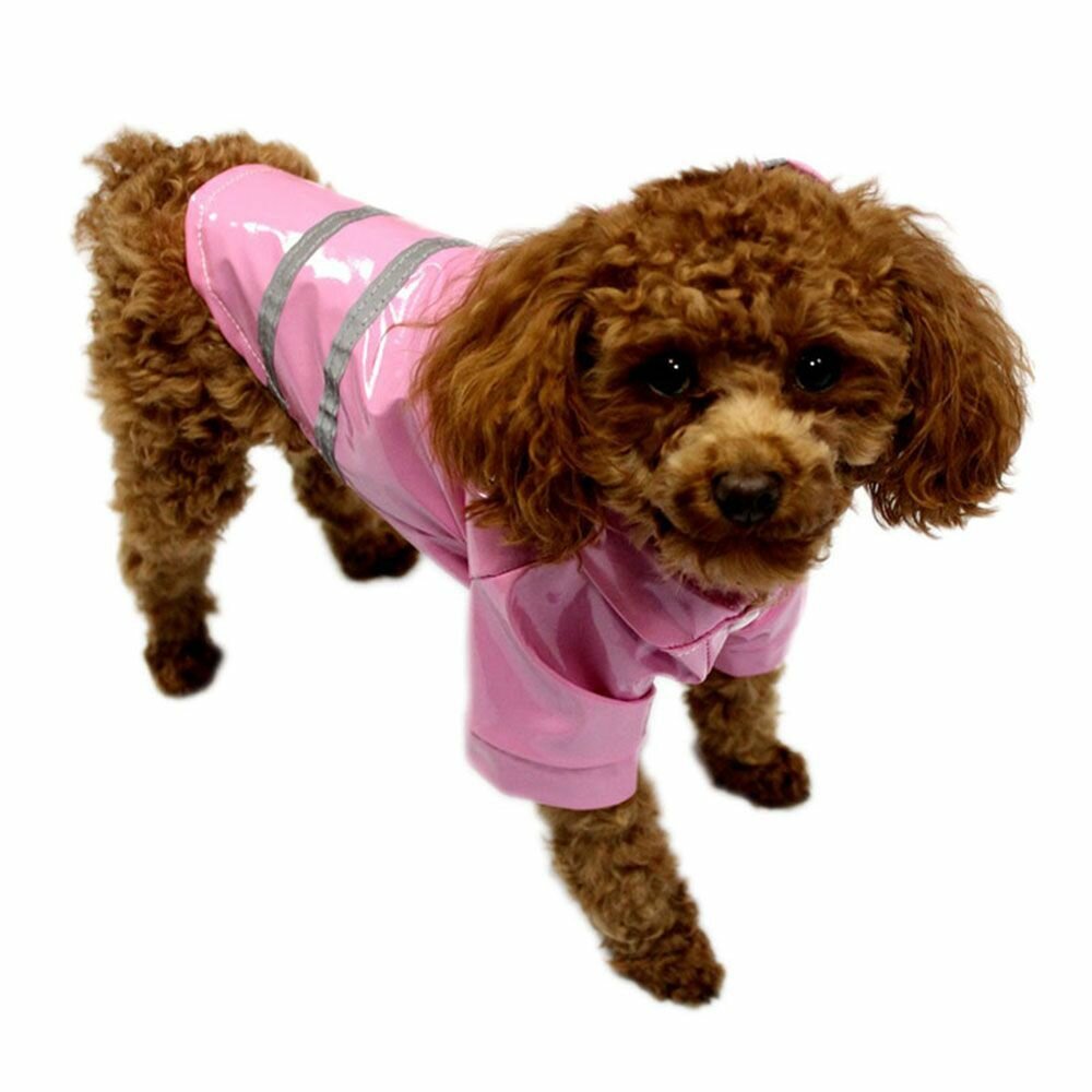 Плащ-дождевик с капюшоном для собак мелких и средних пород, размер S - фотография № 3