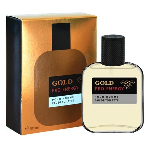 Delta Parfum туалетная вода Pro-Energy Gold, 100 мл, 100 г туалетная вода мужская pro energy gold 100 мл delta parfum 7011737