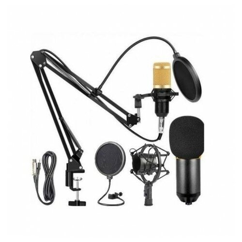Микрофон студийный с подвесом Professional Сondenser Microphone Legendary Vocal (U-730)