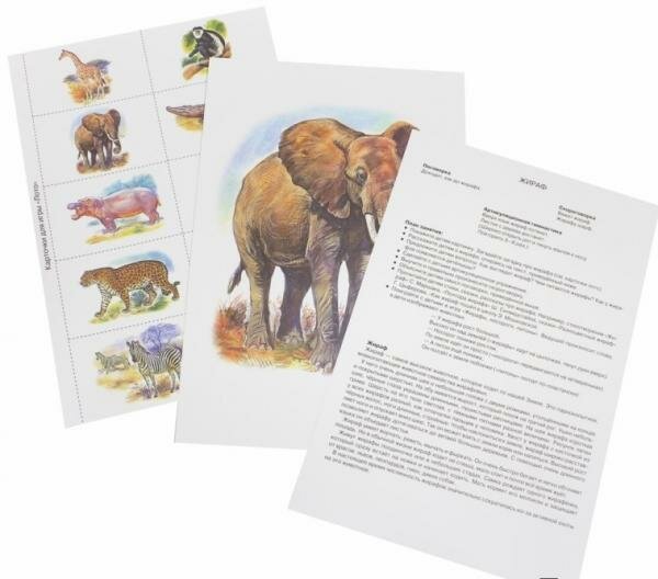 Наглядно-дидактический материал с конспектами занятий Животные Африки - фото №3