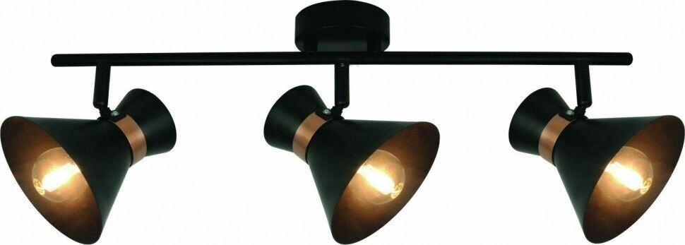 Спот Arte Lamp A1406PL-3BK