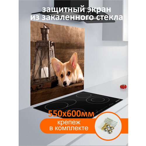 Защитный экран для плиты от Borntoprint. Стеновая панель из закаленного стекла для кухонного фартука 