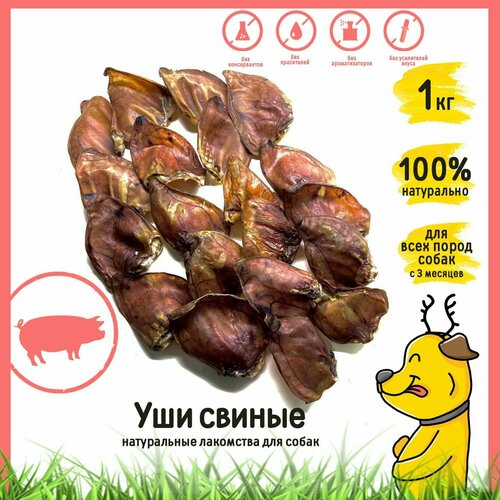 Лакомство для собак Уши свиные HorDog 1кг