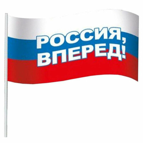 Флаг Россия вперед! 16х24 см с флагштоком