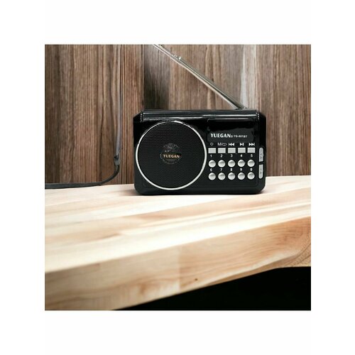 Радио-колонка беспроводная 109900₽