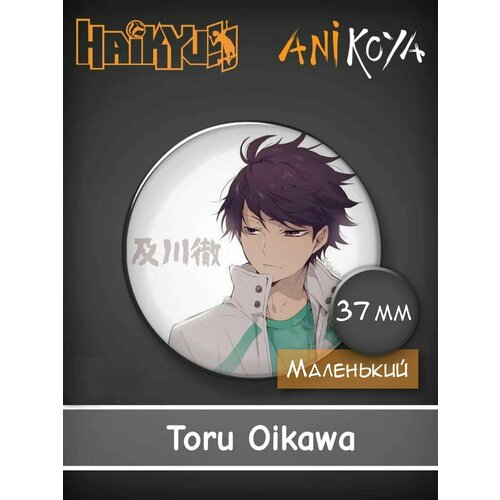 Значок AniKoya 7 9 дюймов haikyuu плюшевые игрушки kawaii toru oikawa hinata shoyo kageyama tooru милые мягкие набивные куклы прямая поставка