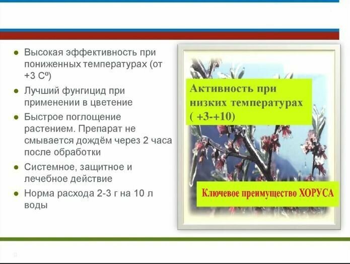 Защита плодовых культур от болезней хорус, 3 шт по 1 гр / Зелена Аптека Садовода