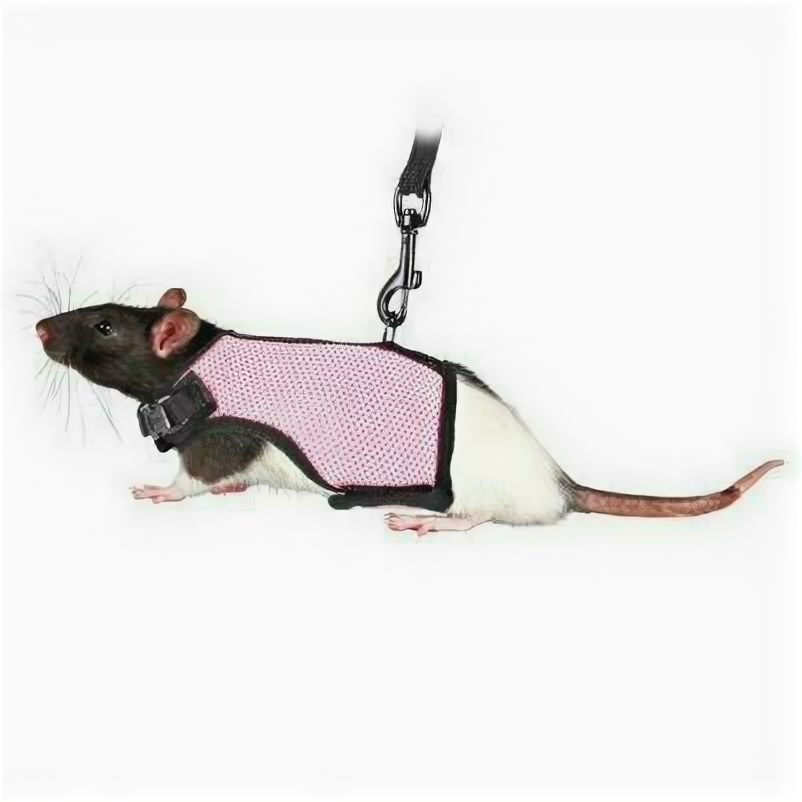 Trixie шлейка-жилетка для морских свинок и кроликов в ассортименте