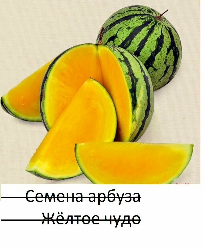 Арбуз Жёлтое чудо семена 5 штук