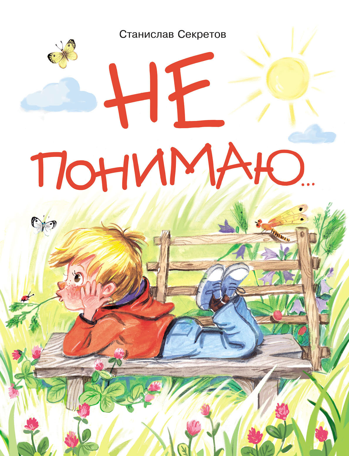 "Не понимаю.". Секретов Станислав