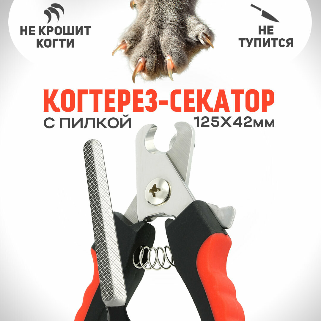Когтерез для кошек и собак 125 мм / Ножницы для кошек / Когтерезка для собак / Ножницы для собак