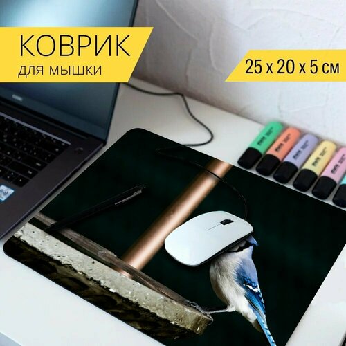 Коврик для мыши с принтом Blue jay, птица, поилка для птиц 25x20см.