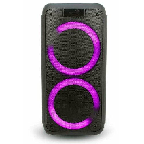 ELTRONIC 20-12 DANCE BOX 1000 - колонка 08 1800000₽