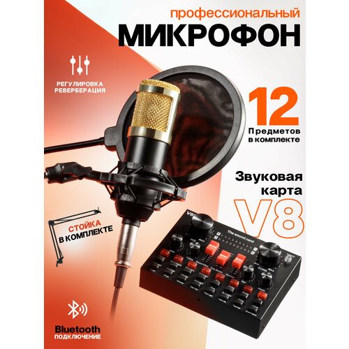 Конденсаторный студийный микрофон BM-800 с микшером V8