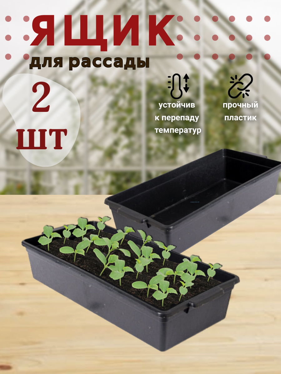 Ящик для рассады Набор 2шт 43*20*10 см