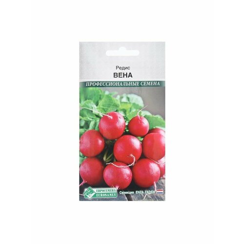 семена редис вена 0 5 г евросемена 5 упаковок Семена Редис Вена, 0,5 г